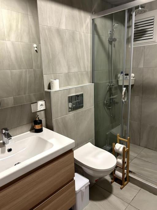 Meet Your Oasis Daire